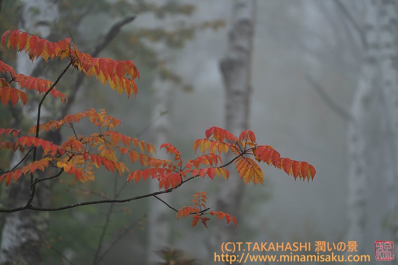 ../Images/7R251011 (12).jpg